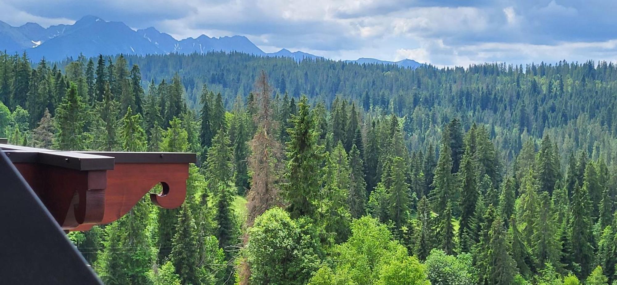 Jedla Miejsce Goscinne Bukowina Tatrzańska Exterior foto