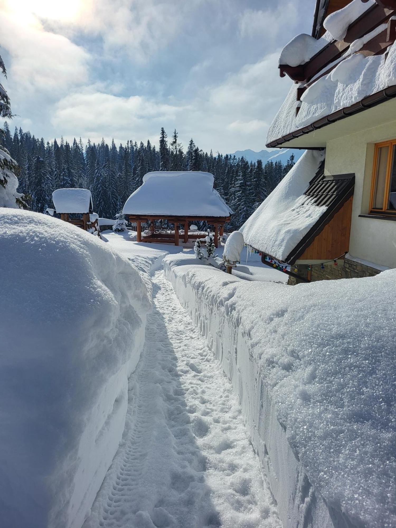 Jedla Miejsce Goscinne Bukowina Tatrzańska Exterior foto